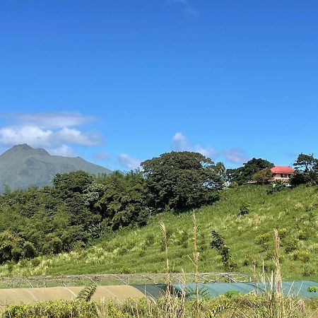 Chambre Et Sdb Privative Ylang Ylang Vue Mont Pelee Dans Maison Partagee Le Morne-Rouge Ngoại thất bức ảnh
