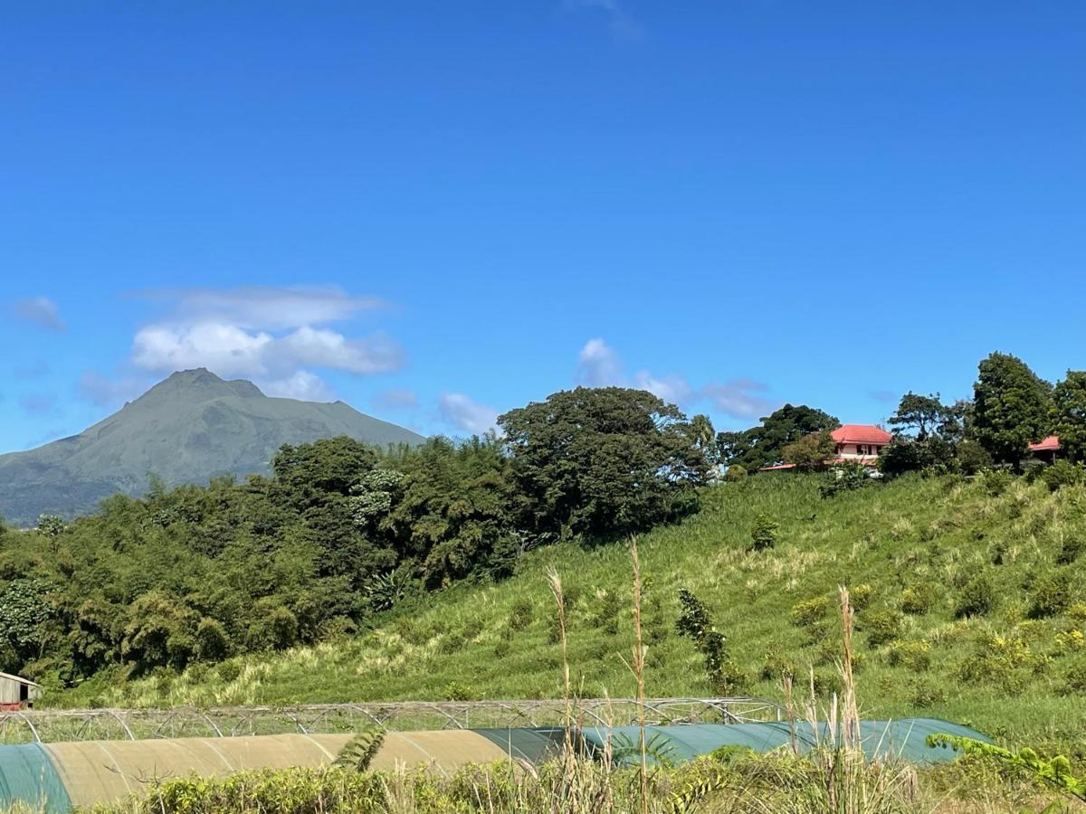 Chambre Et Sdb Privative Ylang Ylang Vue Mont Pelee Dans Maison Partagee Le Morne-Rouge Ngoại thất bức ảnh